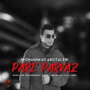 محمد ابوطالبی – پر پرواز